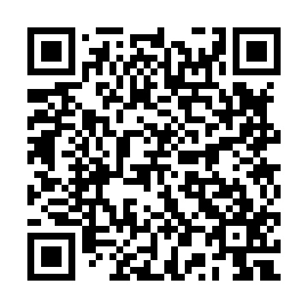 QR code for 2P 3817
