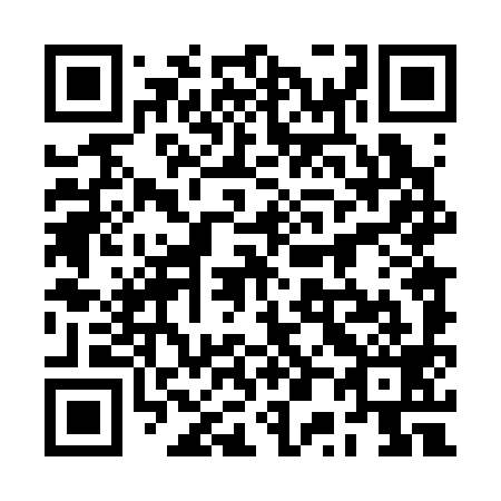 QR code for 2P 4399