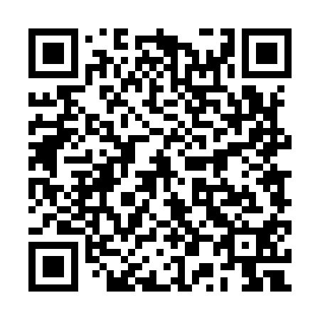 QR code for 2P 4910