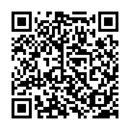 QR code for 2P 6311