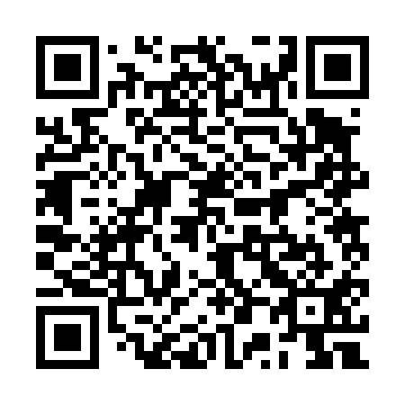 QR code for plate 2P 2411