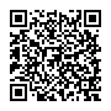 QR code for plate 2P 4198
