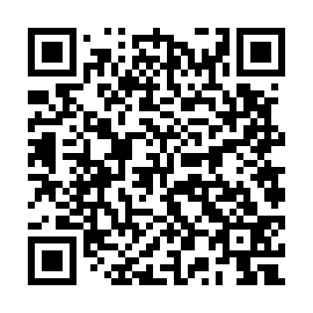 QR code for plate 2P 6533