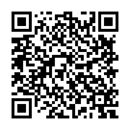 QR code for 2P9816
