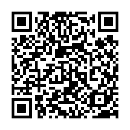 QR code for 2Q 9601