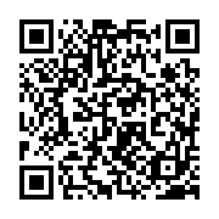 QR code for plate 2QJ 313
