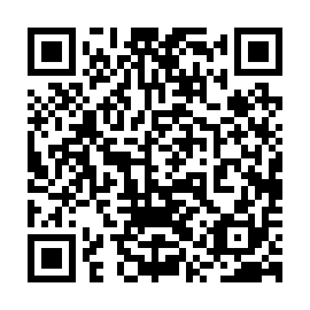 QR code for plate 2QP 210