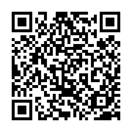 QR code for plate 2QS 480