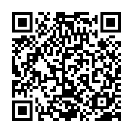 QR code for plate 2QS 875