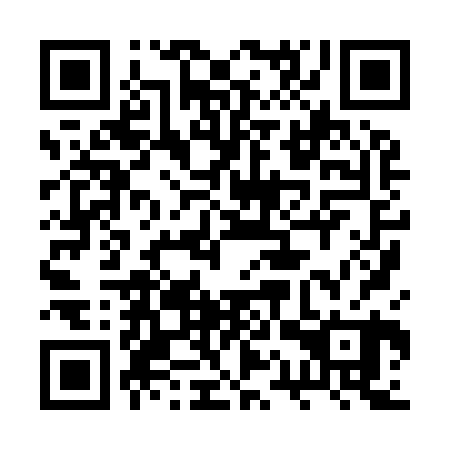QR code for plate 2QX 920