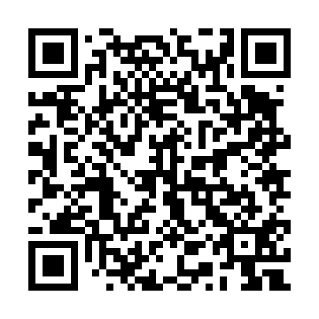 QR code for 2QZ 411