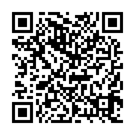 QR code for plate 2R 2919