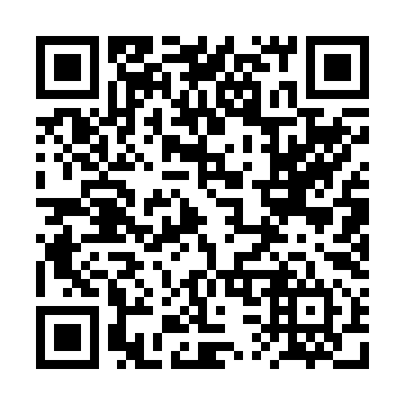 QR code for 2S 1294