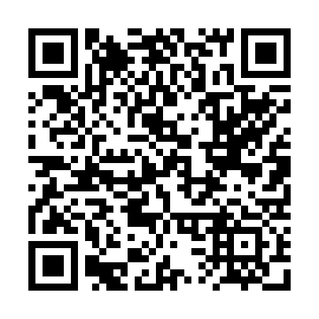 QR code for plate 2S 4233