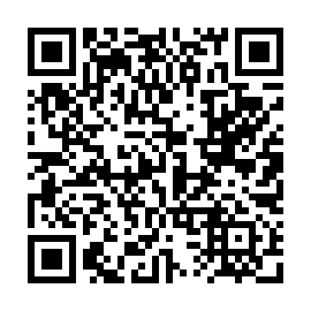 QR code for plate 2S 4491