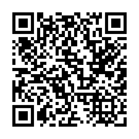 QR code for plate 2S 5339