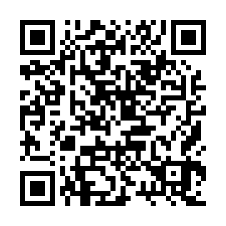 QR code for plate 2S 9063