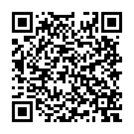 QR code for plate 2S 9504
