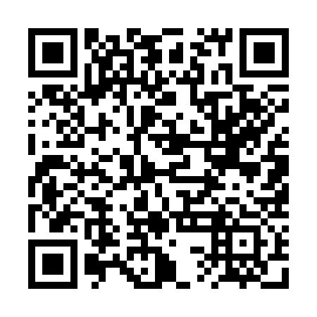 QR code for 2SE 333