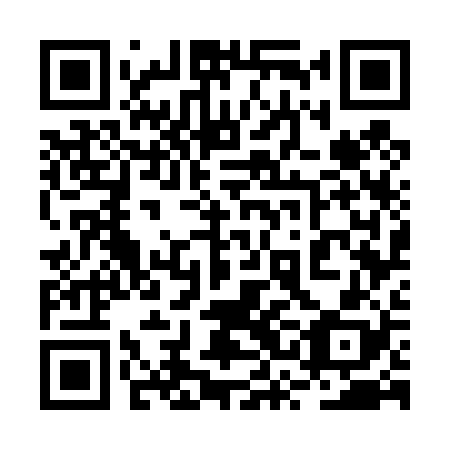 QR code for 2SG 428