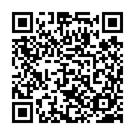 QR code for plate 2SI 665