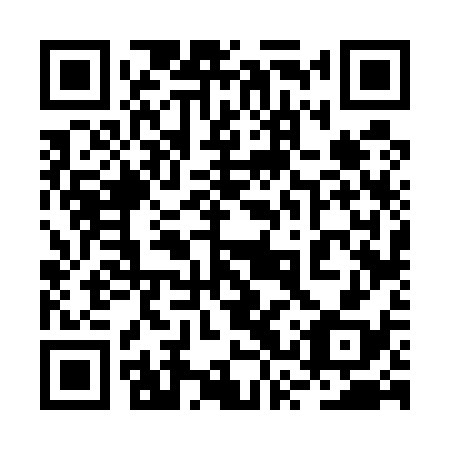 QR code for 2SV 538