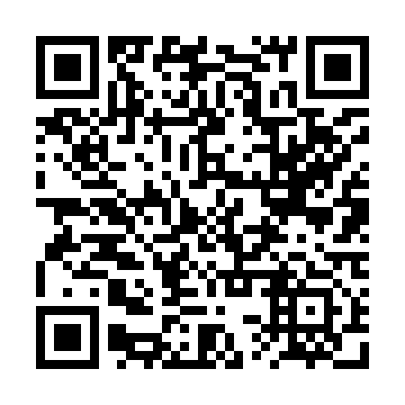 QR code for 2SV 913