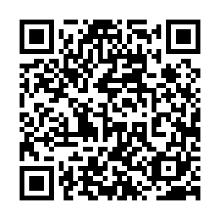 QR code for 2T 4161