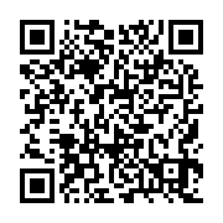 QR code for plate 2T 9933