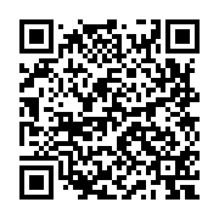 QR code for 2V 3911