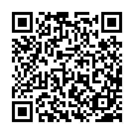 QR code for plate 2V 0203