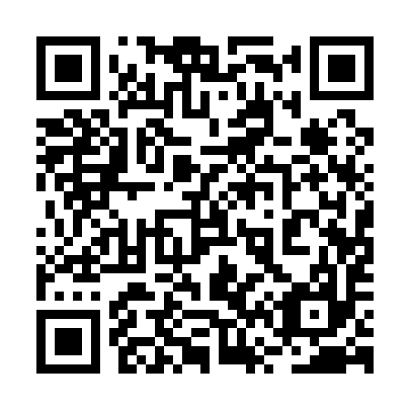 QR code for plate 2V 1197
