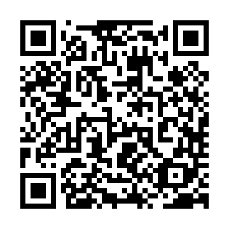 QR code for plate 2V 2048