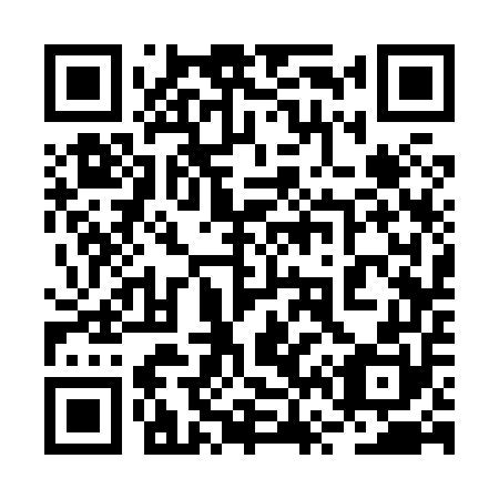 QR code for plate 2V 3850