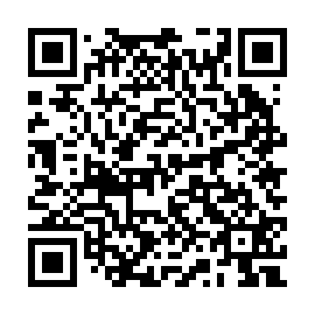 QR code for plate 2V 5221
