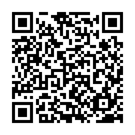QR code for plate 2V 6334
