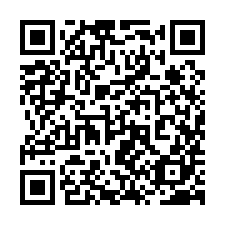 QR code for plate 2V 9180