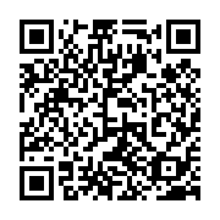 QR code for plate 2VG 419