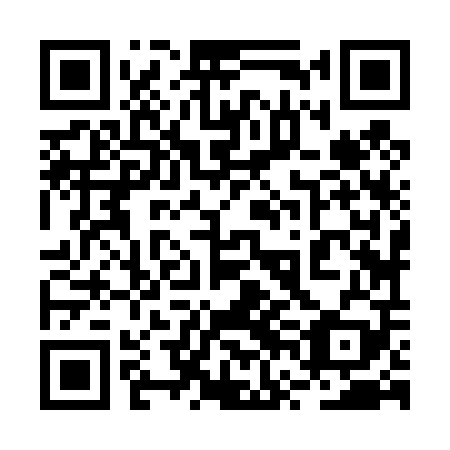 QR code for plate 2VJ 409
