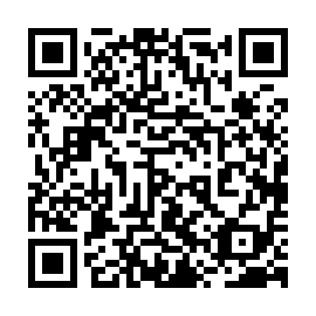 QR code for 2VP 919