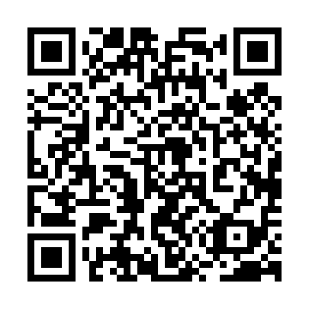QR code for plate 2W 0419