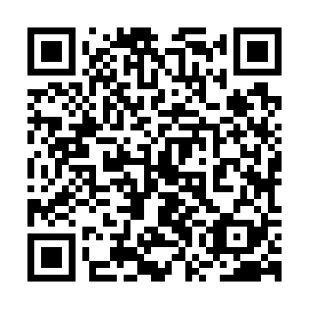 QR code for plate 2WJ 729