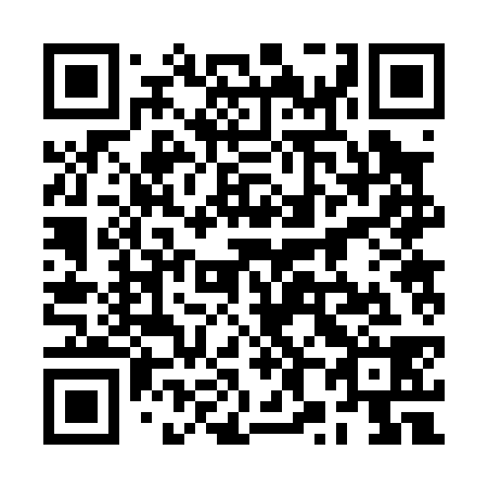 QR code for 2X 2038