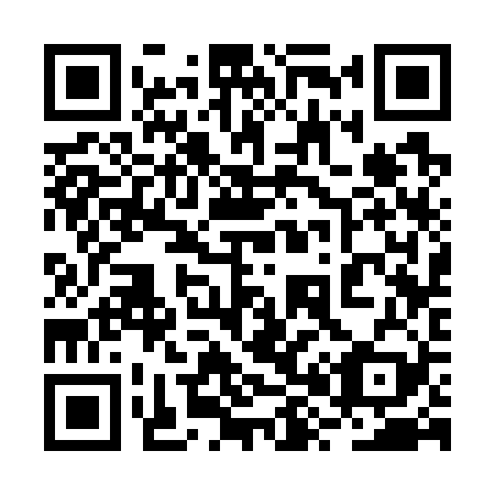 QR code for 2X 3729