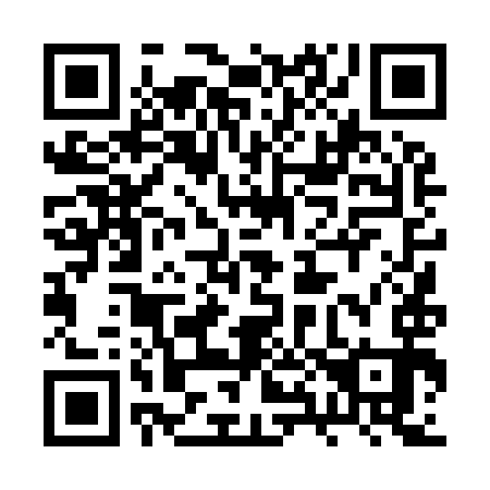 QR code for 2X 4993
