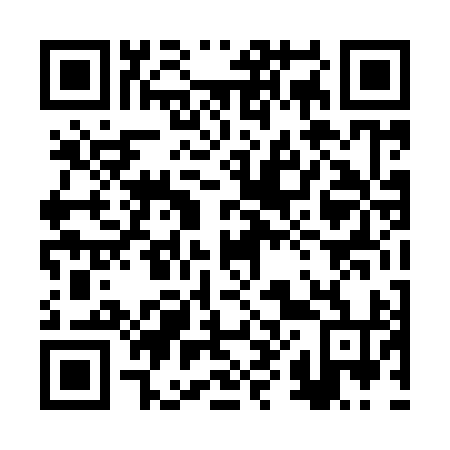 QR code for 2X 4994