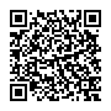 QR code for plate 2X 2039