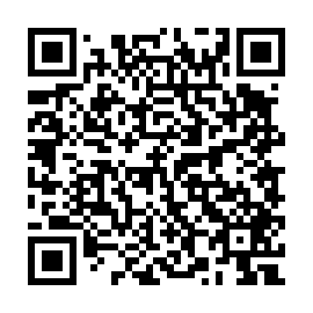 QR code for plate 2X 4449