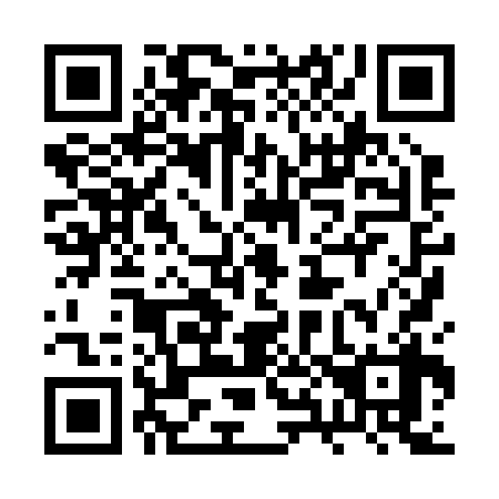 QR code for plate 2X 8238
