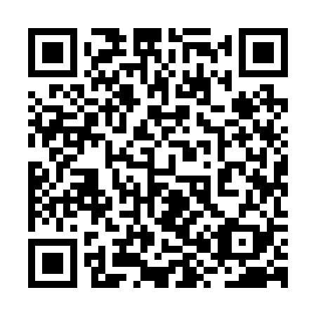 QR code for plate 2X 9229